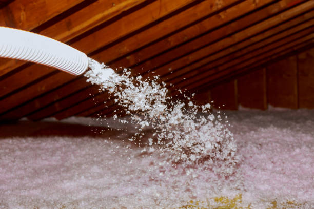 Best Energy-efficient Insulation  in Lyndhurst, VA